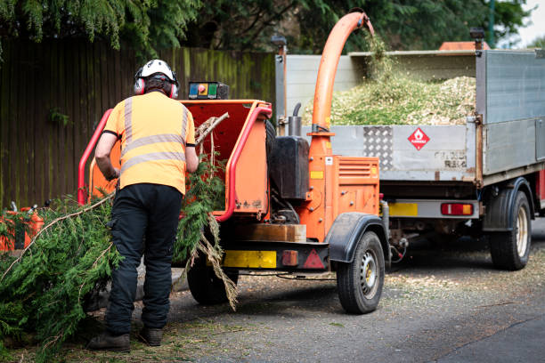 Best Lawn Watering Services  in Massanetta Springs, VA